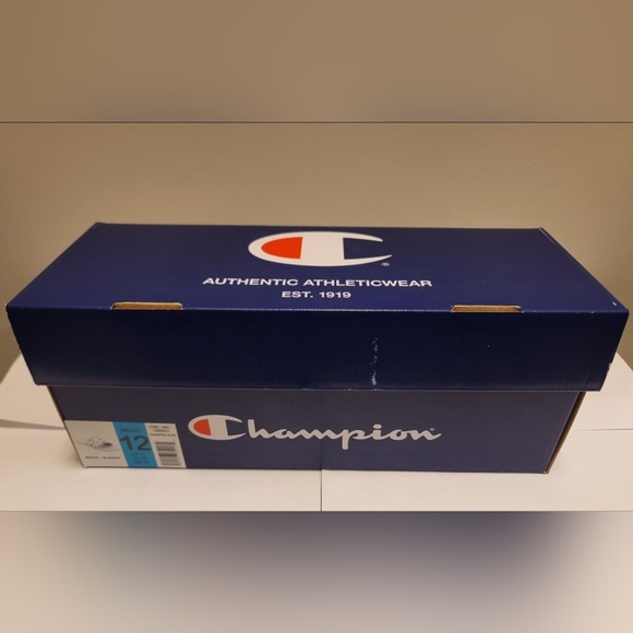 Champions Slides - Picture 6 of 6